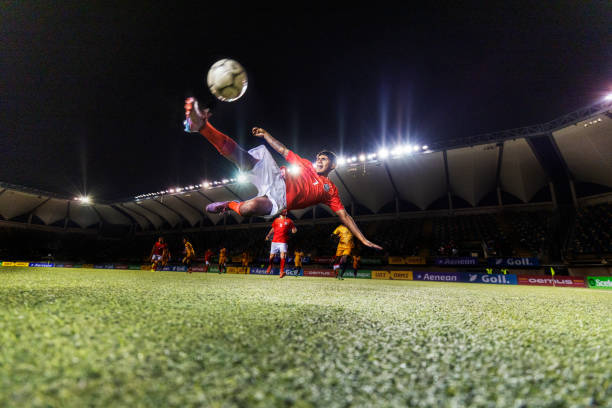 表运动员的 表运动员的